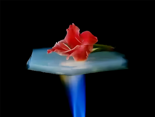 把握“十五五”节能新机遇：鼎业集团携无机阻热材料，，邀工业伙伴共赴节能降碳新赛道